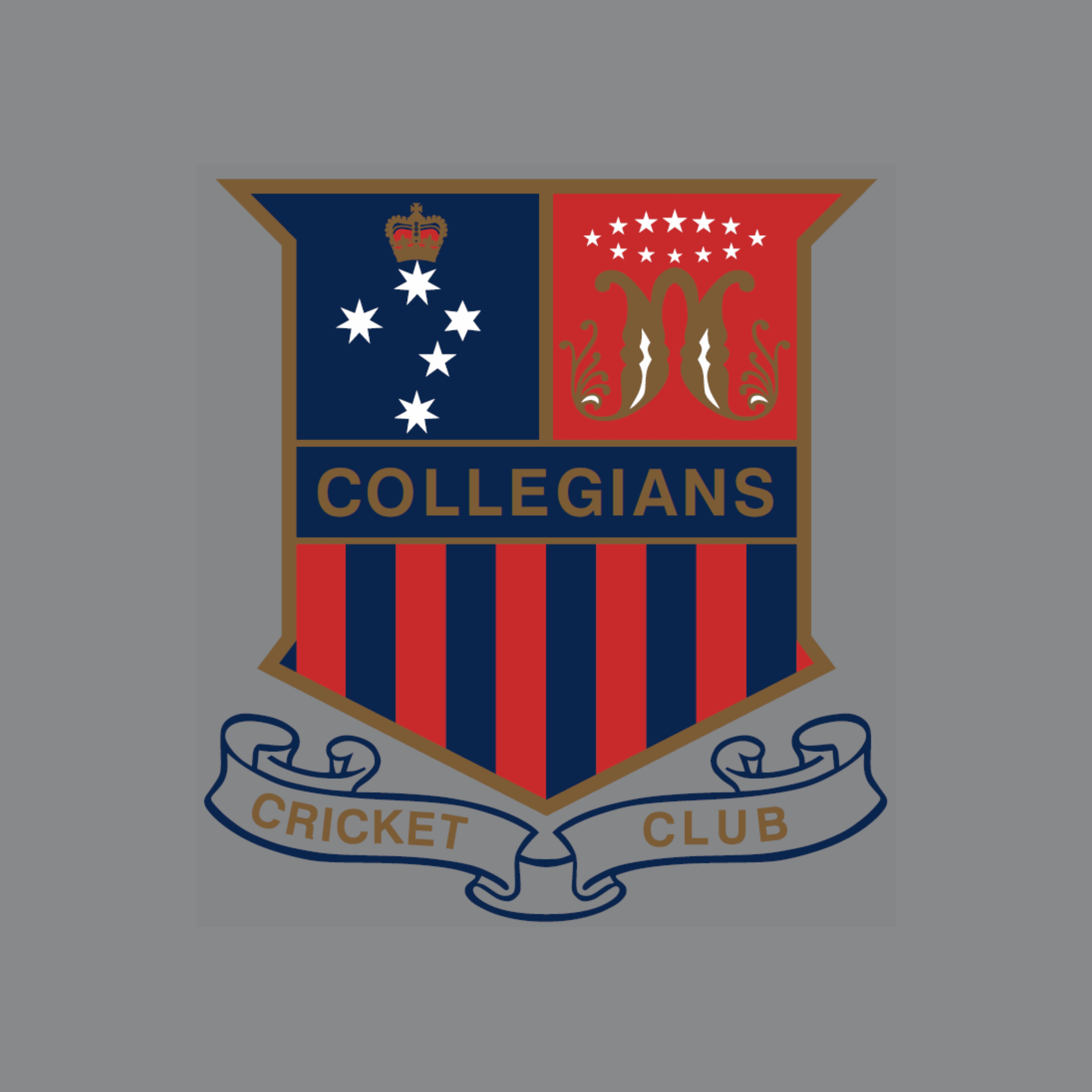 COLLEGIANS CRICKET CLUB